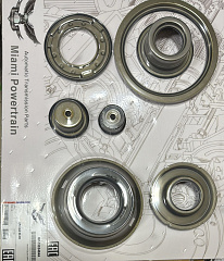 Комплект обрезиненных поршней АКПП AL4 / DP0 (Miami Powertrain)
